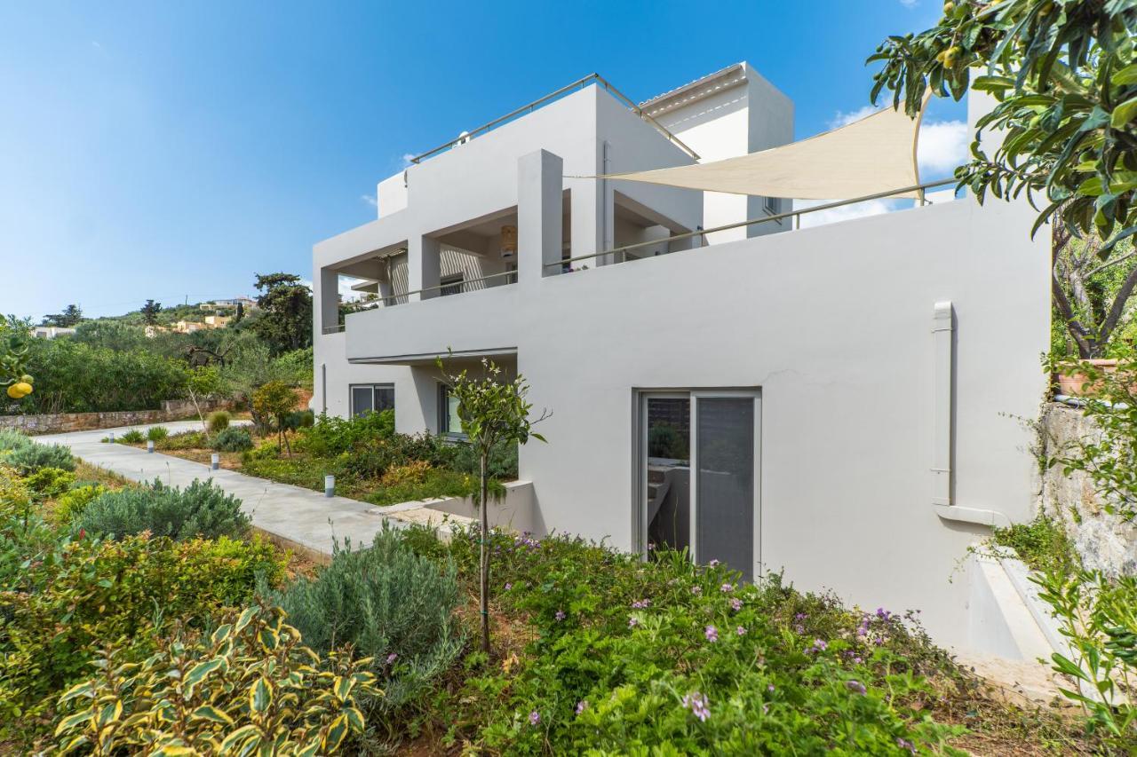 Villa Oliveto Tavronitis Eksteriør billede