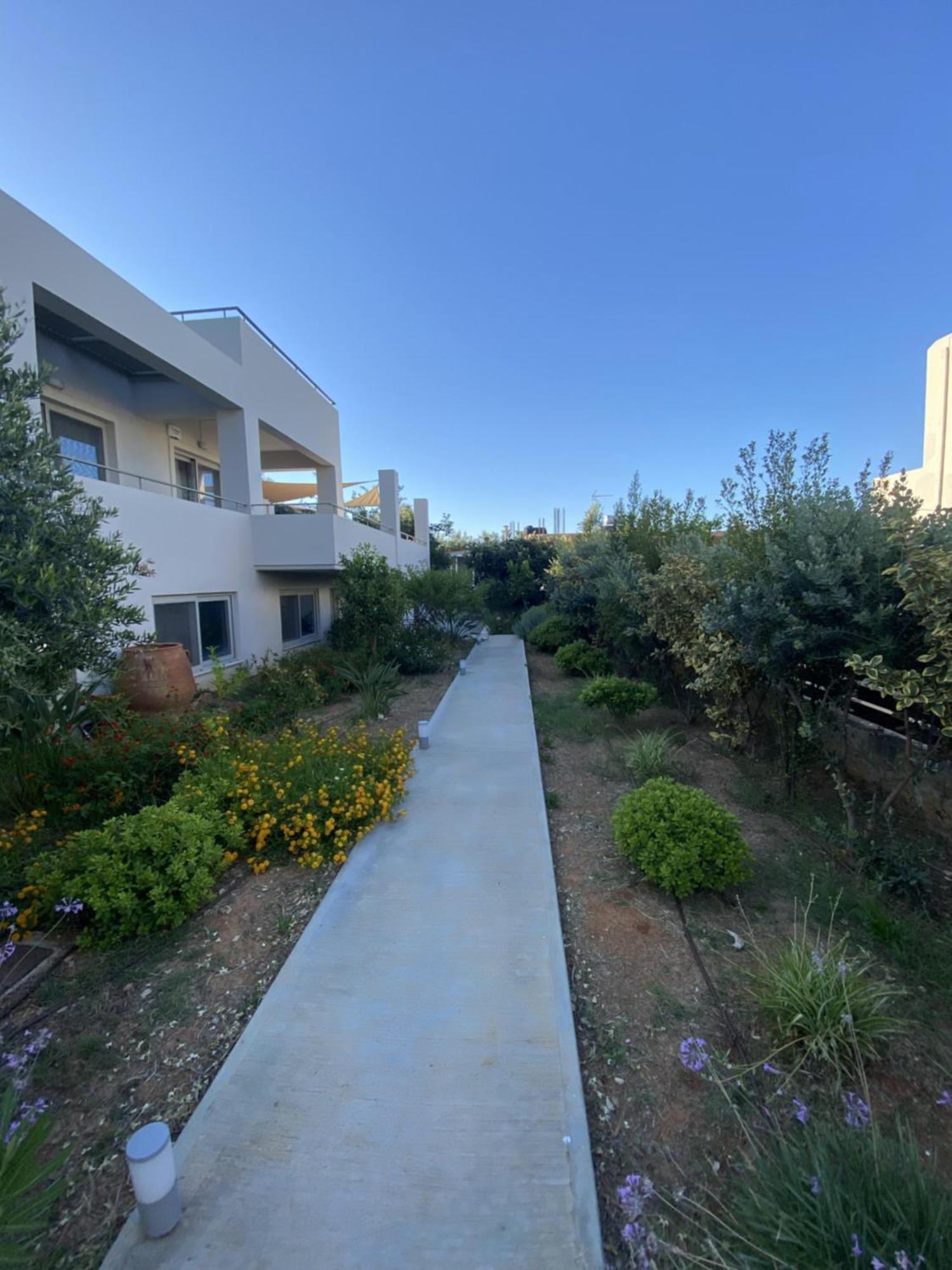 Villa Oliveto Tavronitis Eksteriør billede